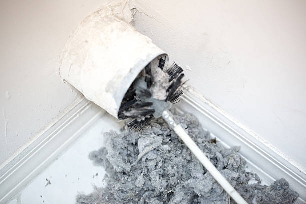 Best Air Duct Mold Removal  in Grandville, MI