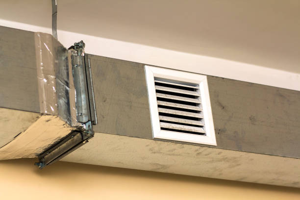 Best Home Air Vent Cleaning  in Grandville, MI